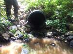 Culvert Crossing, York, Maine