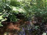Culvert Crossing, York, Maine