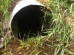 Culvert Crossing, Kennebunkport, Maine