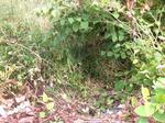 Culvert Crossing, Kittery, Maine