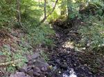 Culvert Crossing, Crocketts Brook, Kittery, Maine