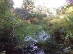 Culvert Crossing, Crocketts Brook, Kittery, Maine