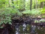 Culvert Crossing, Sanford, Maine