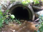 Culvert Crossing, York, Maine