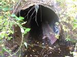 Culvert Crossing, Lebanon, Maine