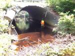 Culvert Crossing, Batson River, Kennebunkport, Maine