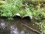 Multiple Culvert Crossing, Sanford, Maine