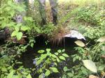 Multiple Culvert Crossing, Sanford, Maine