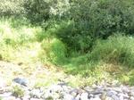 Multiple Culvert Crossing, Sanford, Maine