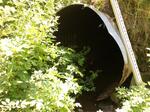 Culvert Crossing, Goose Rocks Creek, Kennebunkport, Maine