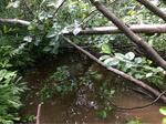 Culvert Crossing, Goose Rocks Creek, Kennebunkport, Maine