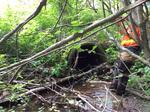 Culvert Crossing, Goose Rocks Creek, Kennebunkport, Maine