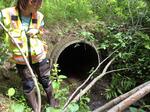 Culvert Crossing, Goose Rocks Creek, Kennebunkport, Maine