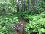 Culvert Crossing, Goose Rocks Creek, Kennebunkport, Maine