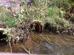 Multiple Culvert Crossing, Old Orchard Beach, Maine