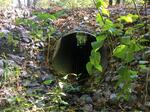 Culvert Crossing, Trib To Ogunquit River, Wells, Maine