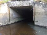 Culvert Crossing, Goosefare Brook, Saco, Maine