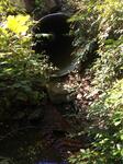 Multiple Culvert Crossing, Wells, Maine