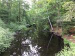 Bridge Crossing, Green Brook, Wells, Maine