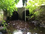 Multiple Culvert Crossing, Sanford, Maine
