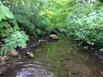 Culvert Crossing, Sanford, Maine
