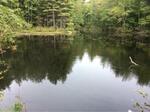 Culvert Crossing, Trib To Mousam, Alfred, Maine