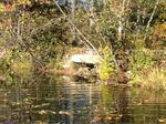 Culvert Crossing, Trib To Horn Lake, Acton, Maine