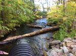 Culvert Crossing, Trib To Horn Pond, Acton, Maine
