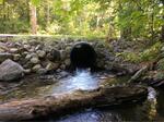 Culvert Crossing, Trib To Horn Pond, Acton, Maine
