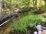 Culvert Crossing, Trib To Horn Pond, Acton, Maine