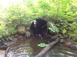 Culvert Crossing, Sanford, Maine