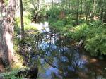 Multiple Culvert Crossing, Sanford, Maine