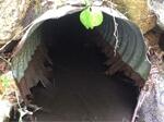 Culvert Crossing, Shapleigh, Maine