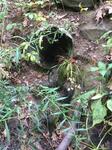 Culvert Crossing, Trib To Littlefield River, Alfred, Maine