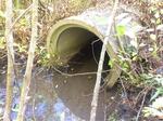 Culvert Crossing, Trib To Spruce Creek, Kittery, Maine