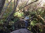 Culvert Crossing, Trib To Spruce Creek, Kittery, Maine