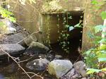 Culvert Crossing, Pope Creek, Wells, Maine