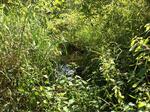 Culvert Crossing, Sanford, Maine