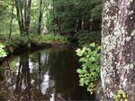 Culvert Crossing, Shapleigh, Maine