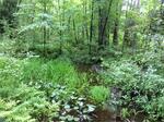 Culvert Crossing, Shapleigh, Maine