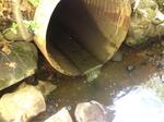 Culvert Crossing, Trib To Smelt Brook, York, Maine