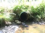 Culvert Crossing, Trib To Smelt Brook, York, Maine