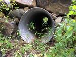 Culvert Crossing, Shapleigh, Maine