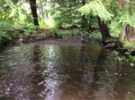 Culvert Crossing, Shapleigh, Maine