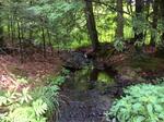 Culvert Crossing, Shapleigh, Maine