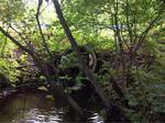 Culvert Crossing, Pump Box Brook, Shapleigh, Maine