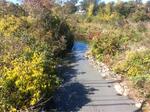 Culvert Crossing, York, Maine