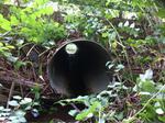 Culvert Crossing, Trib To Mousam Lake, Shapleigh, Maine