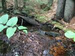 Culvert Crossing, Trib To Mousam Lake, Shapleigh, Maine