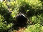 Multiple Culvert Crossing, Scarborough, Maine